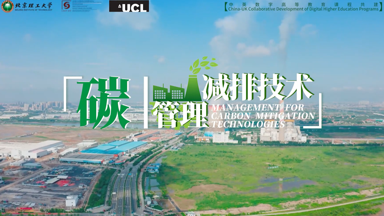 Management for Carbon Mitigation Technologies