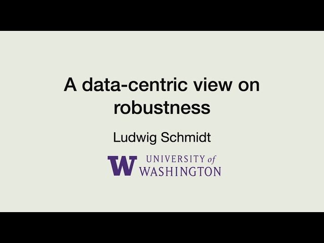 A Data-Centric View on Robustness - IFDS 2022