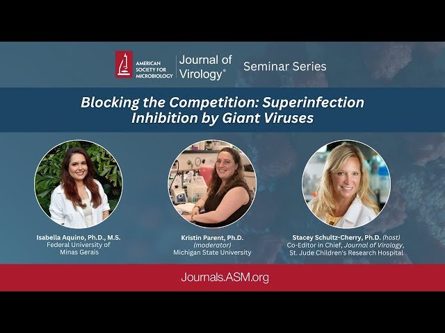 Blocking the Competition - Superinfection Inhibition by Giant Viruses