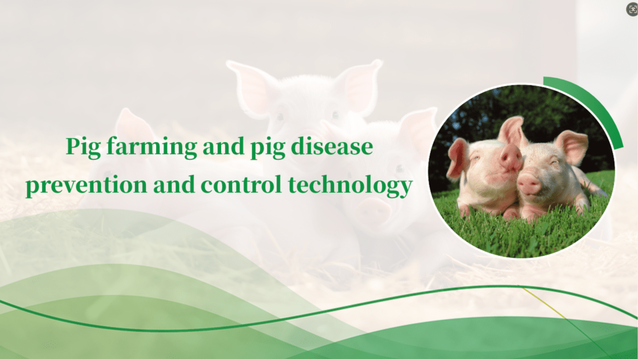 Pig breeding and swine disease prevention and control