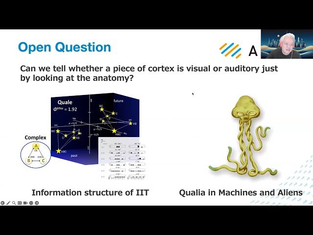 Qualia and Symmetry in Neural Networks
