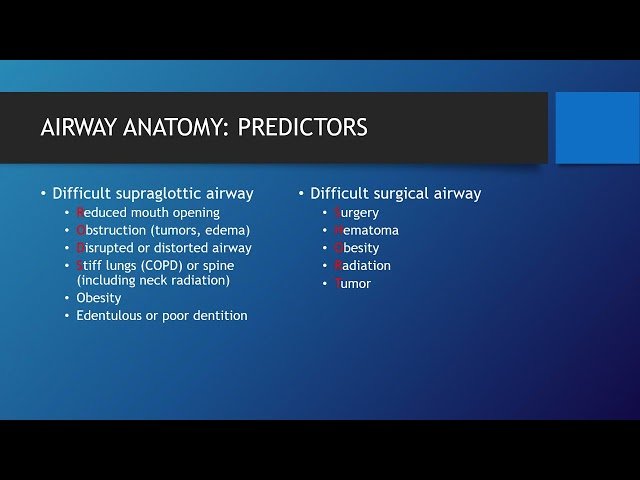 Anatomy and Airway Keyword Review