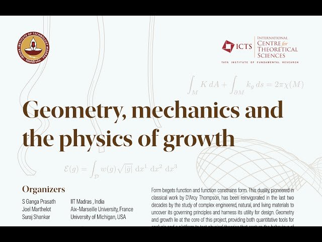 Discrete Networks and Polymer Chains - Lecture 2