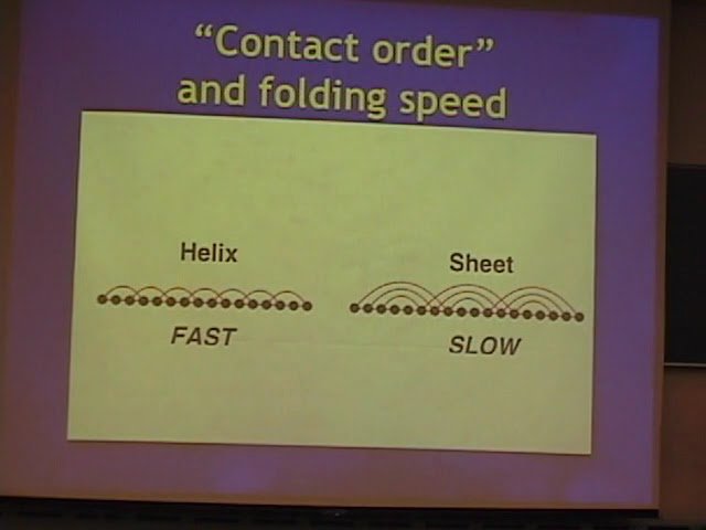 Protein Folding and Parsing