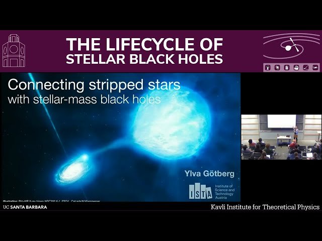 Modelling and Searching for Stripped Stars
