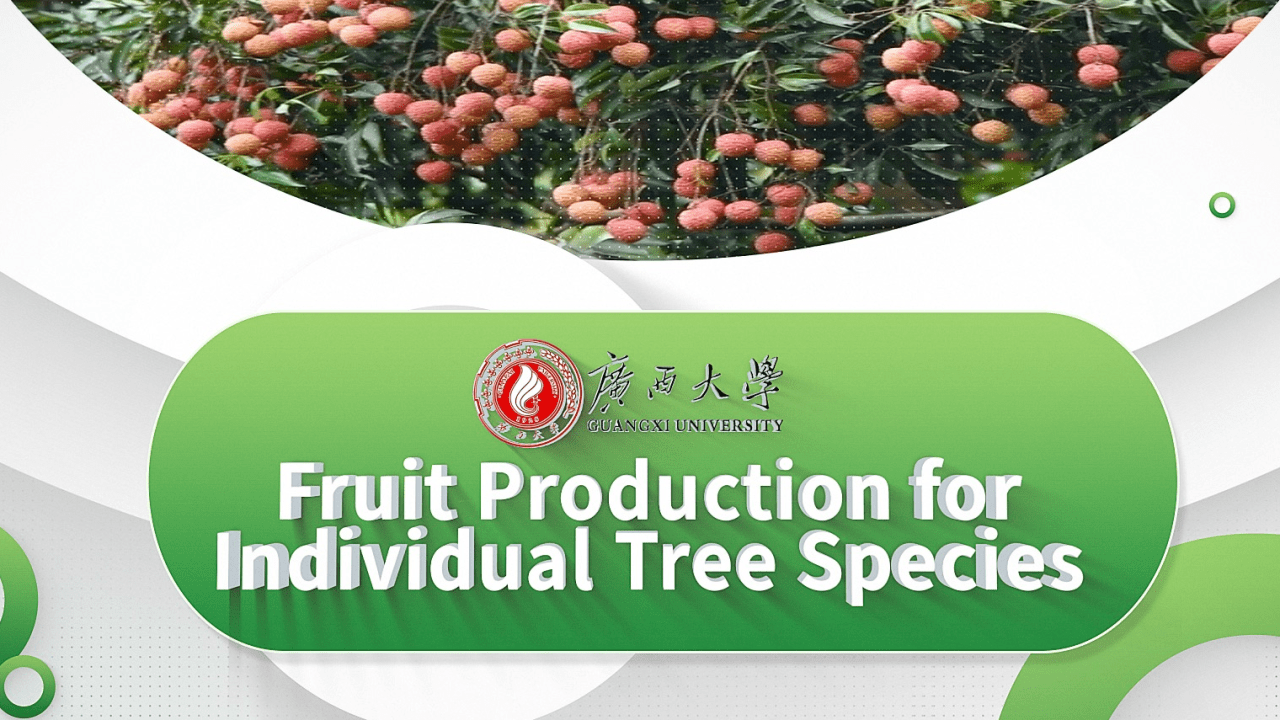 Fruit Production for Individual Tree Species