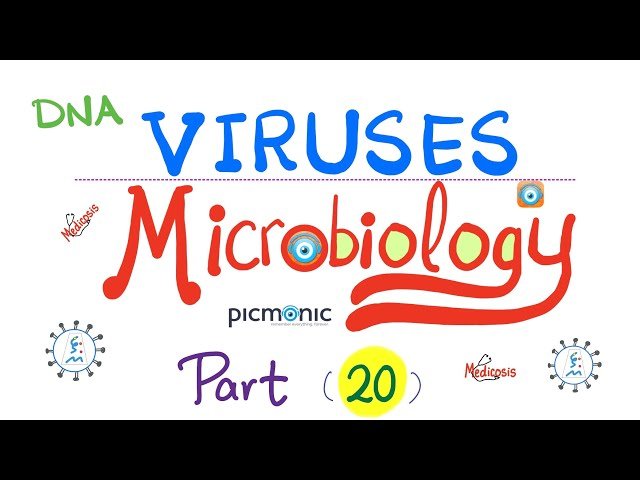 Picmonic Microbiology - Virology - DNA Viruses - Pox, Polyoma, Papillomavirus, Parvo, HBV