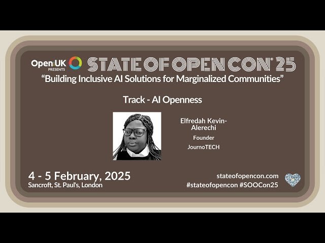 Building Inclusive AI Solutions for Marginalized Communities