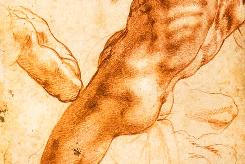 Accelerated Introduction to Drawing (Live Online)