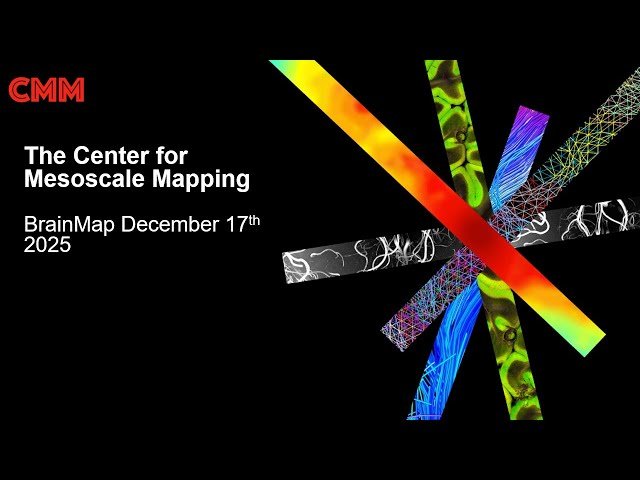 BrainMap - Center for Mesoscale Mapping 2025 Update