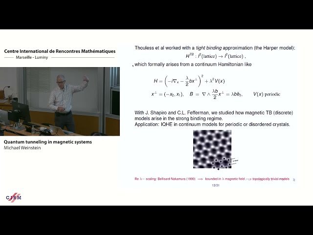 Quantum Tunneling in Magnetic Systems