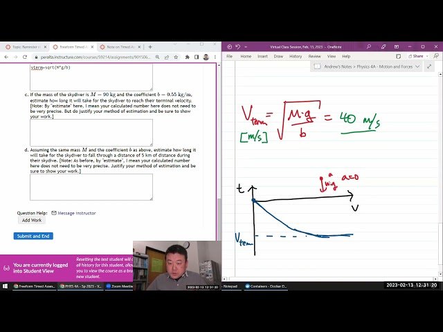 Physics 4A - Motion Freeform Timed Assessment: The Skydiver