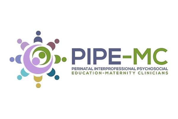 Perinatal Interprofessional Psychosocial Education for Maternity Clinicians Facilitator Training
