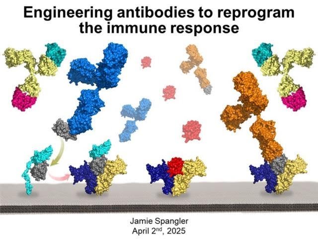 Reshaping the Immunotherapy Landscape Through Molecular Engineering