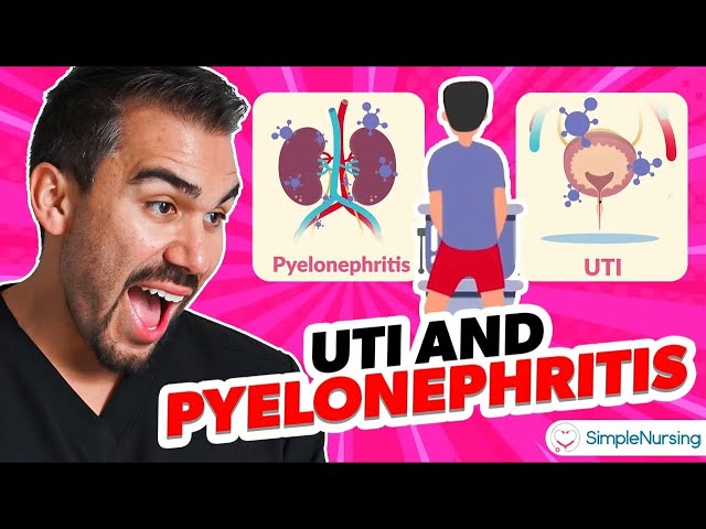 UTI vs. Pyelonephritis - UA Findings, Priority Interventions, and Top Medications for NCLEX and HESI