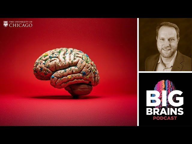 How Microplastics Are Invading Our Bodies