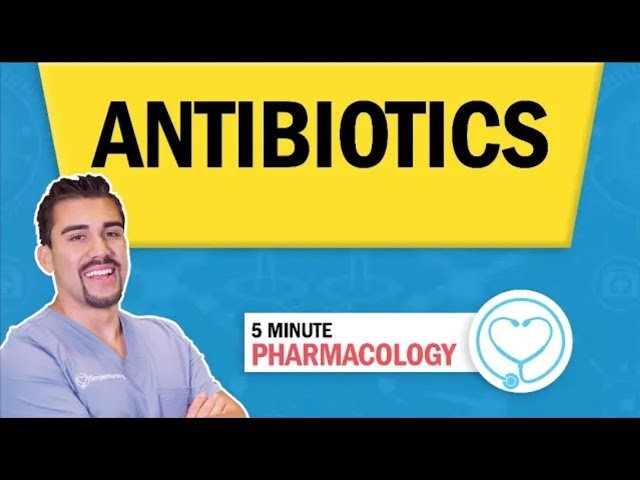 Pharmacology - Antibiotics and Anti-Infectives for Nursing RN PN
