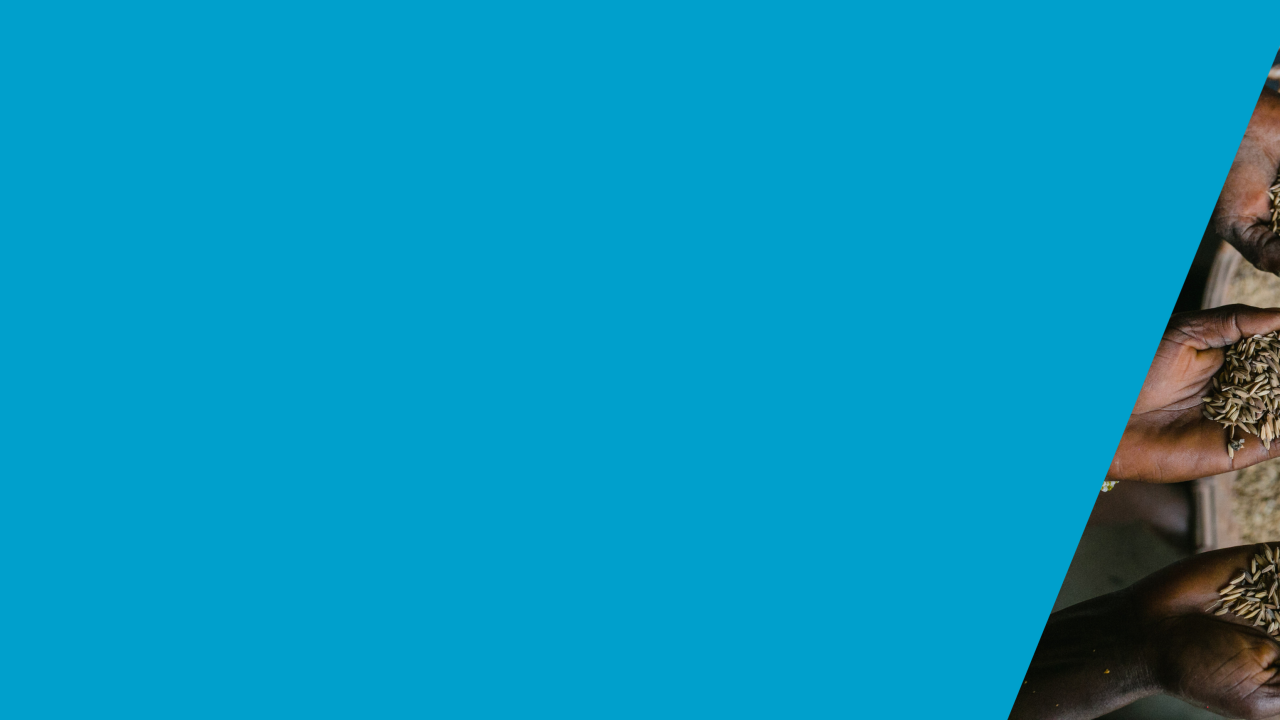 Social Impact Analysis