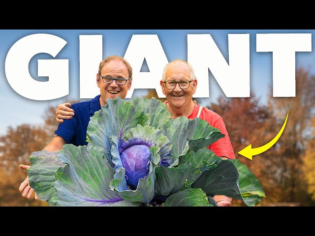 How to Grow Giant Vegetables - Secrets from a World Champion Grower