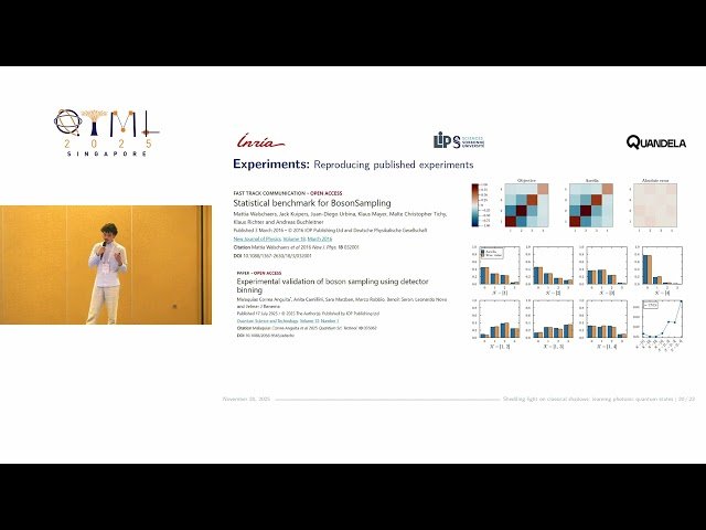 Shedding Light on Classical Shadows