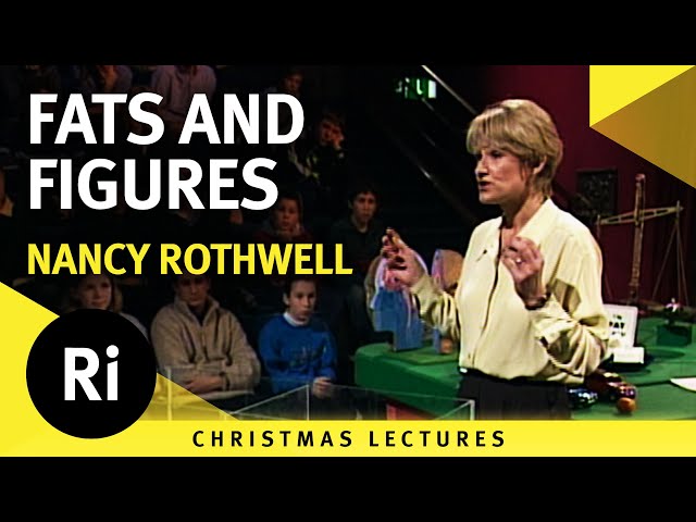 Energy Balance and Food: Understanding Calories and Body Weight - Lecture 2