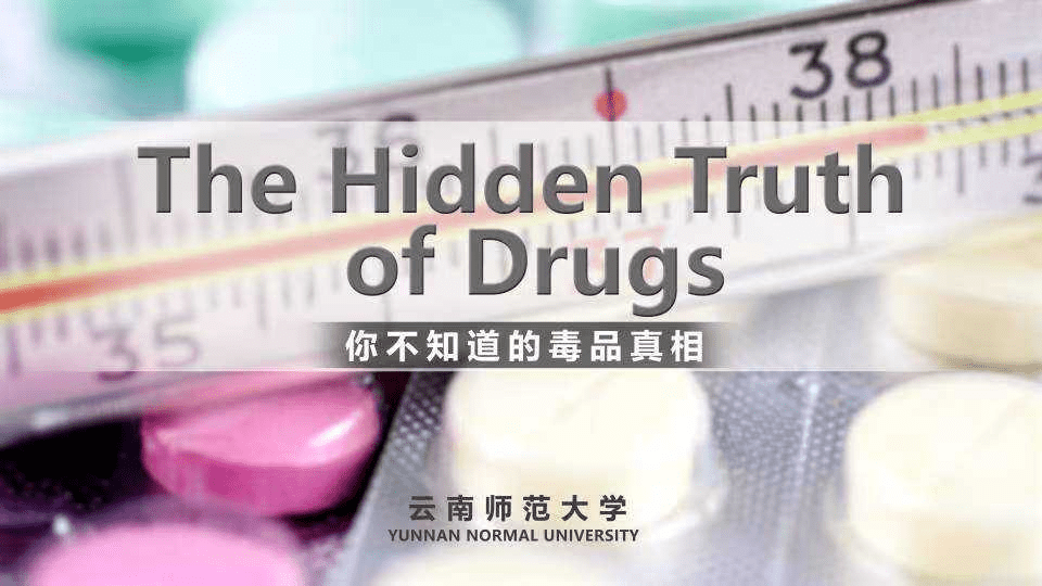The Hidden Truth of Drugs