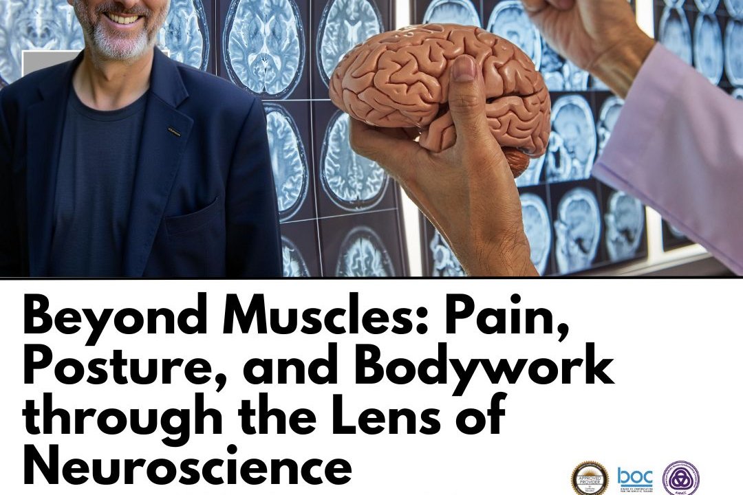 Beyond Muscles: Pain, Posture, and Bodywork through the Lens of Neuroscience