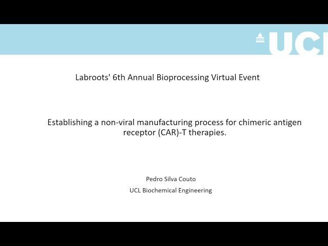 Establishing a Non-Viral Manufacturing Process for Chimeric Antigen Receptor (CAR)-T Therapies