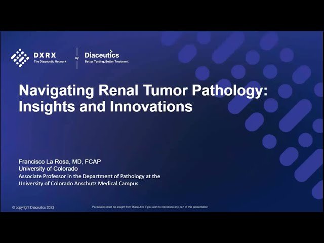 Navigating Renal Tumor Pathology - Insights and Innovations