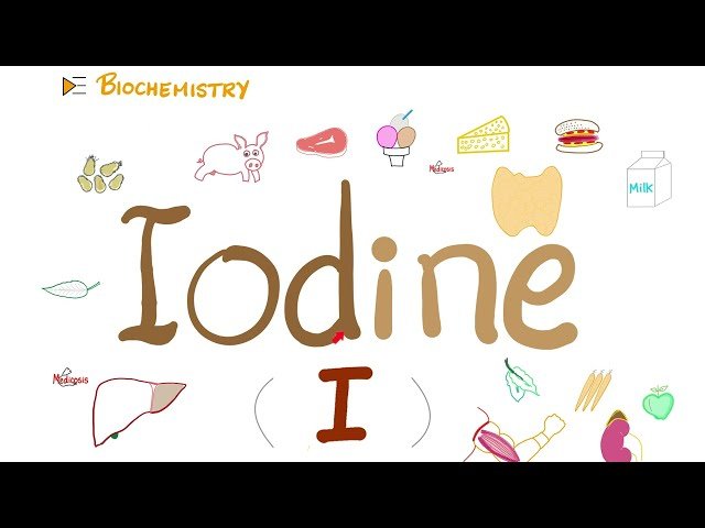 Iodine and Thyroid Function