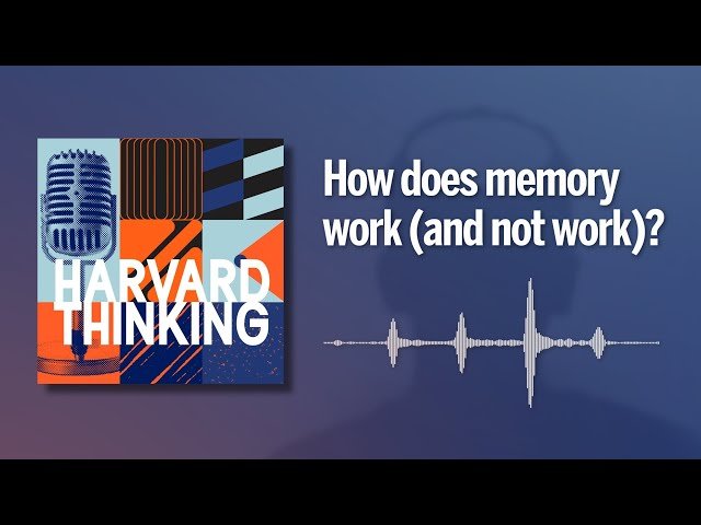 How Does Memory Work and Not Work?