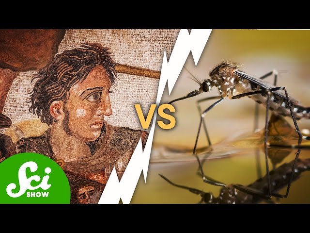 Alexander the Great Was Killed by a Mosquito