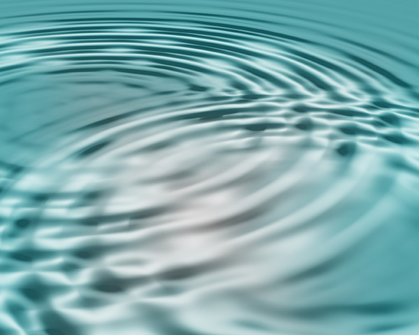 Circular skills economy