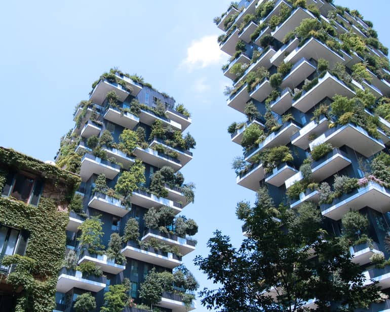 Business Sustainability Management