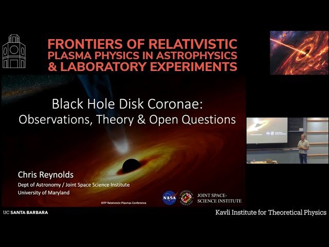 Black Hole Disk Coronae - Observations, Theory, and Open Questions
