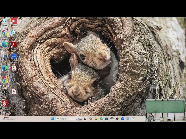 Parabolic Equations - Class 29