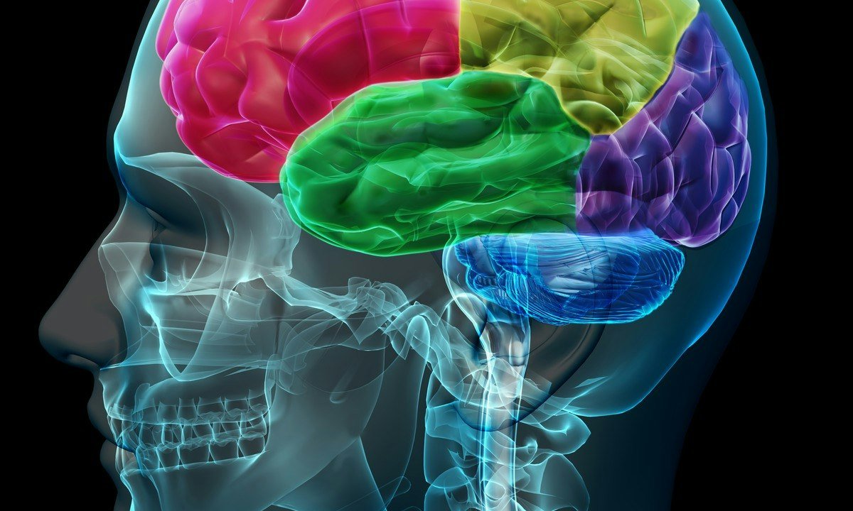 The neuropsychology of decision making
