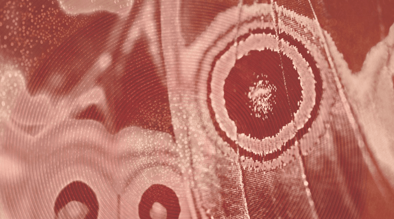 Abstracts in Poetic Nature (Live Online)