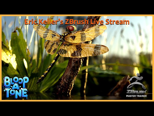 ZBrush 一から作るキャラクター造形 - ZBrush 2025