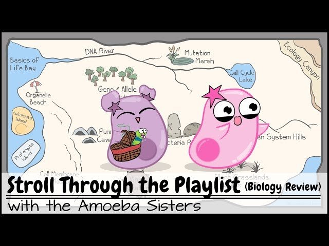 Amoeba Sisters Biology Review Videos