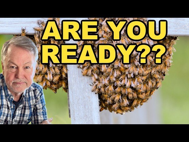 Beekeeping: Tips and Tricks to Prepare for Swarm Season