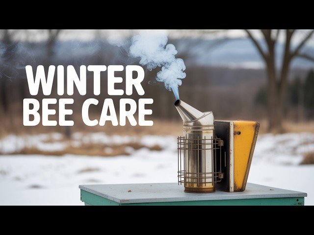 This Mistake Kills Most Beehives in Winter - Hive Inspections and What I Saw