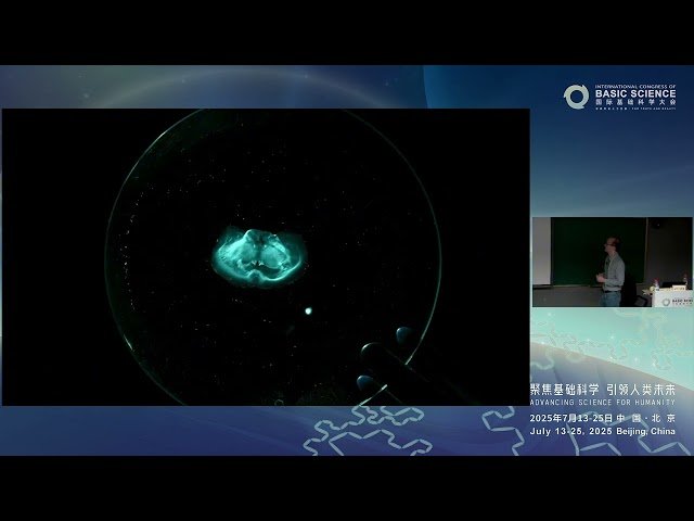 Whole Brain Imaging at Nanoscale Resolution - A Tale of Material Science and Exceptional Optics