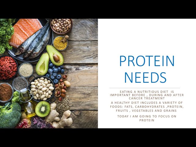 Importance of Protein in Your Diet - Hot Topics in Nutrition