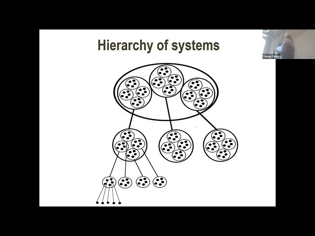Self-Maintaining Systems as Models of Sustainability