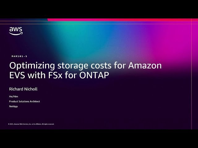 Optimizing Storage Costs for Amazon EVS with FSx for ONTAP