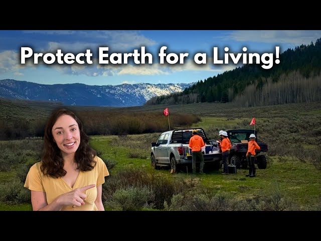 Working in the Field as an Environmental Consultant