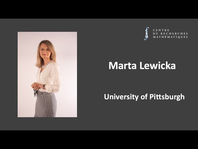 Convex Integration for the Monge-Ampere System