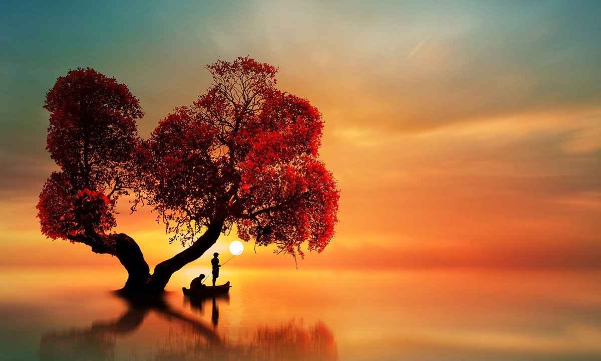 Introduction to Adobe Photoshop Tools - Volume 1