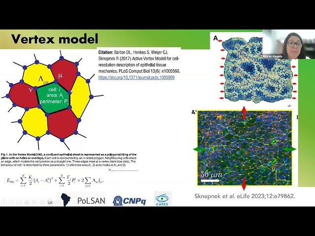 Active Matter, Active Solids, and Cell Migration - Epithelium-Mesenchymal Transitions Embrace Them All